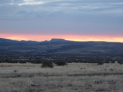 Location Scout: Sonoma desert in Arizona at sunset
